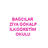 Bağcılar Ziya Gökalp İlköğretim Okulu